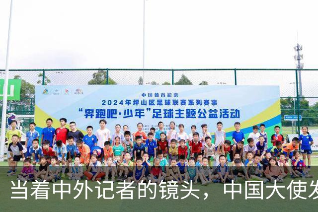 当着中外记者的镜头，中国大使发大火，直接怒斥菲方让其付出代价
