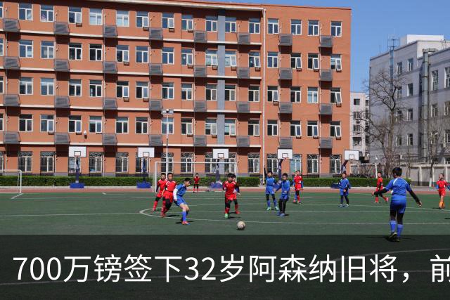 700万镑签下32岁阿森纳旧将，前英超冠军队成员加盟埃弗顿